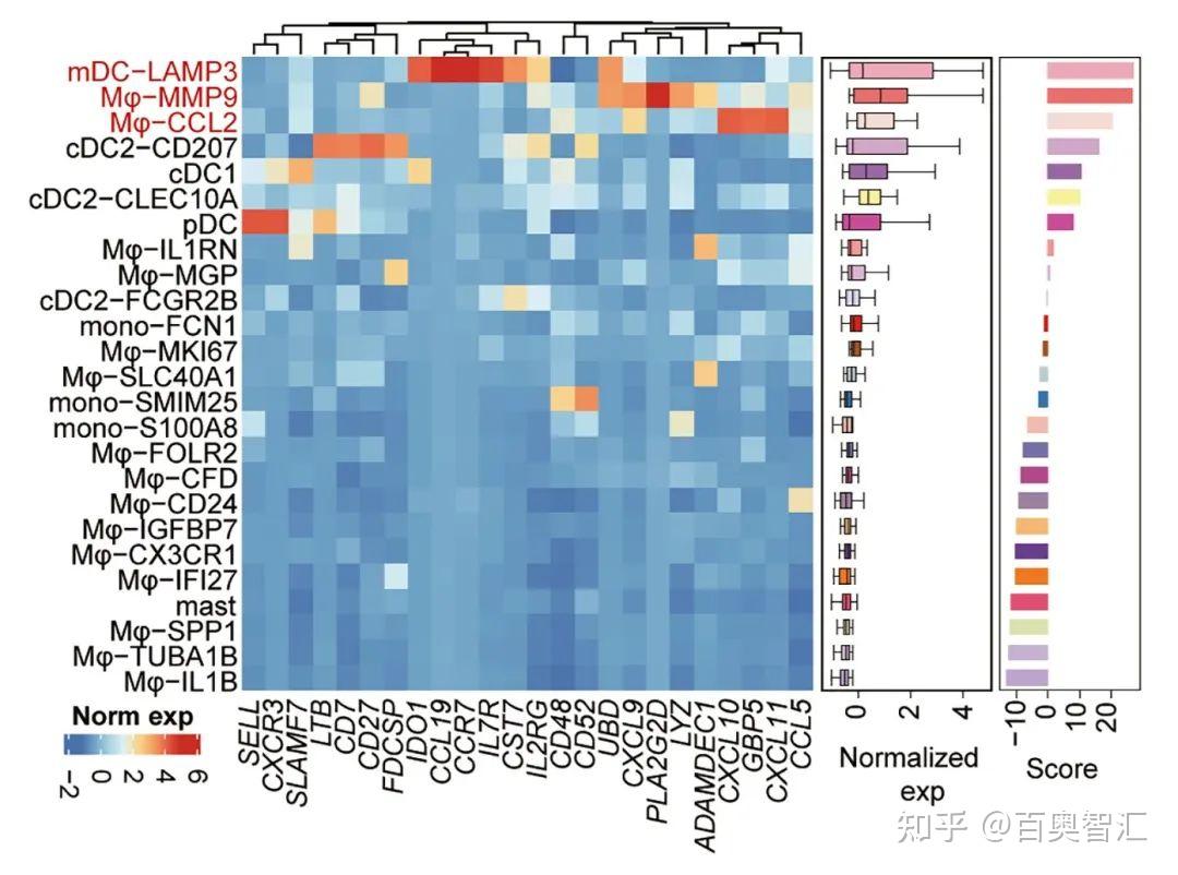 单细胞数据定制化分析——专业、前沿、高效 - 知乎