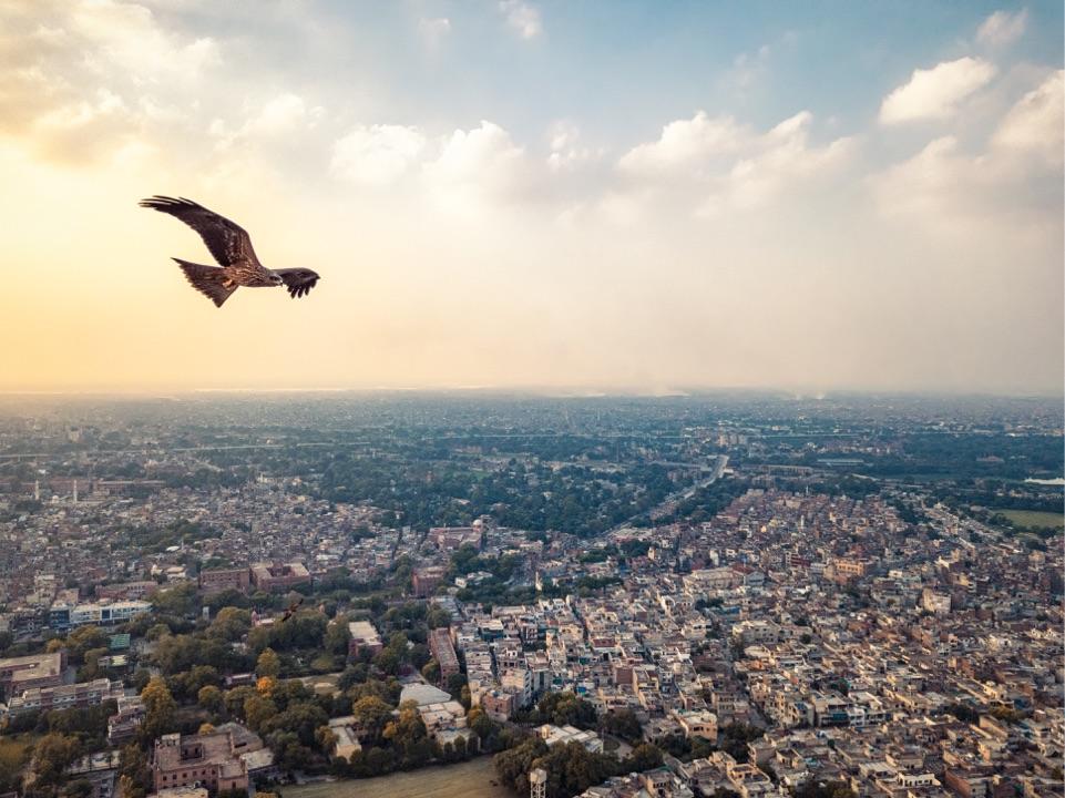 大疆御pro和air哪个更好?