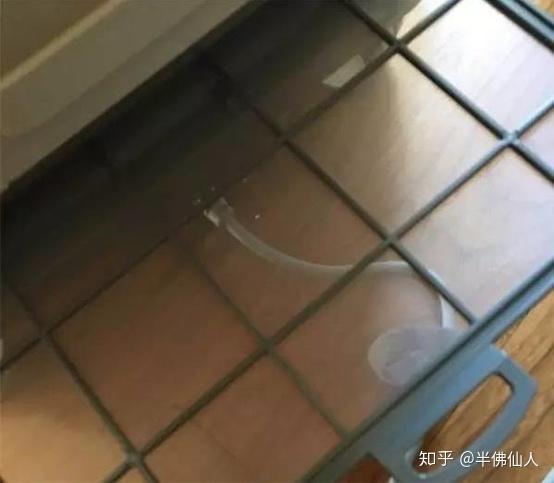 哪个牌子的空气净化器靠谱?