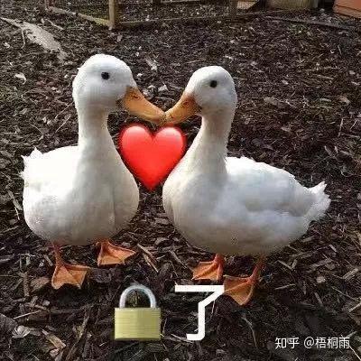 大闸蟹价格文案沙雕,大闸蟹特价广告语怎么写