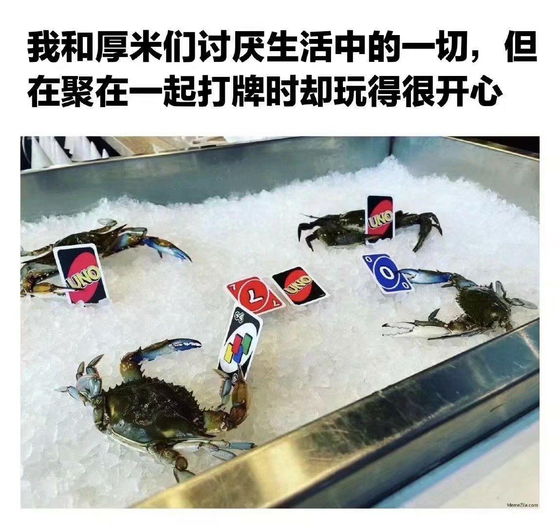 有没有什么有趣的uno表情包