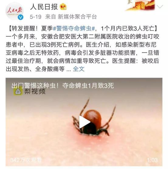 蜱虫的恐怖