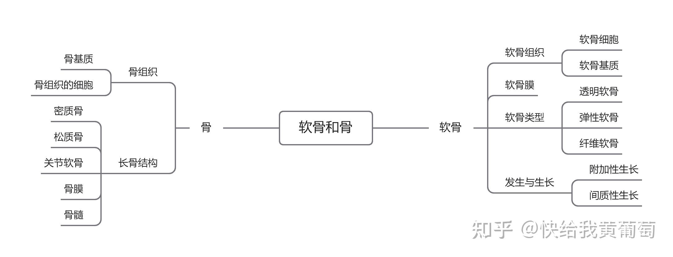 组胚软骨和骨思维导图图片