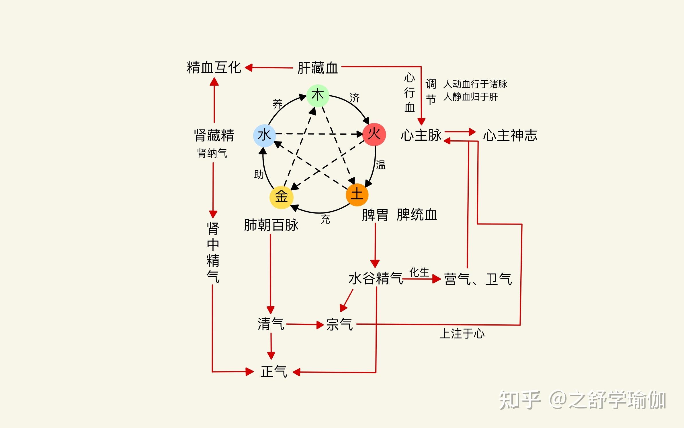 中医讲气血和阴阳,在心脏区域表现为心气,心血,心