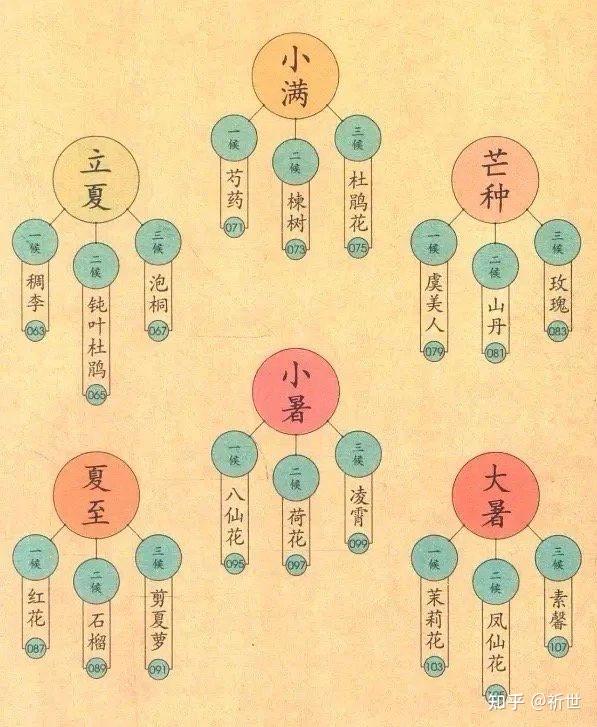 来找你的降生花/生辰花 - 知乎