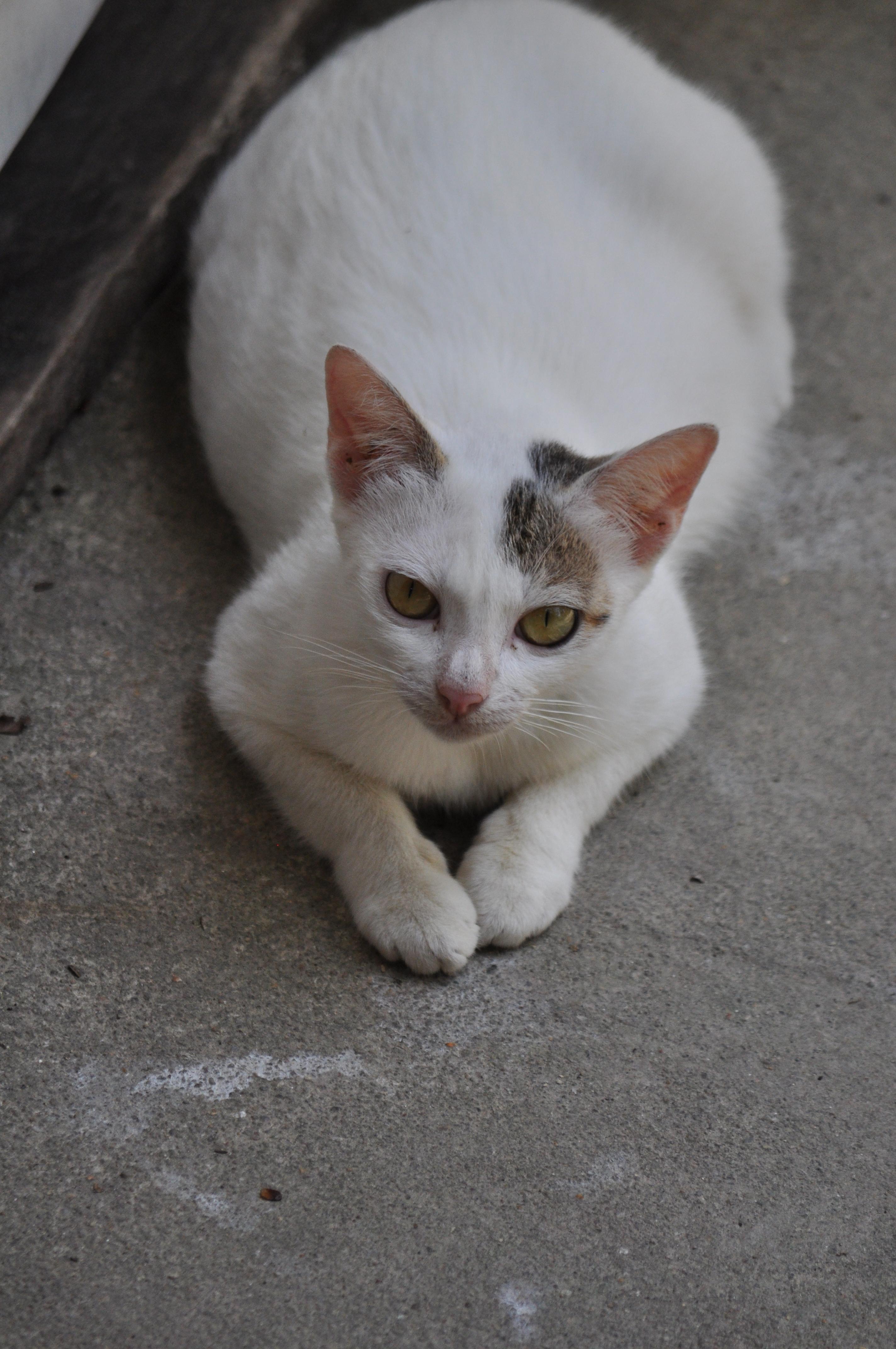 普吉岛7天5晚自由行