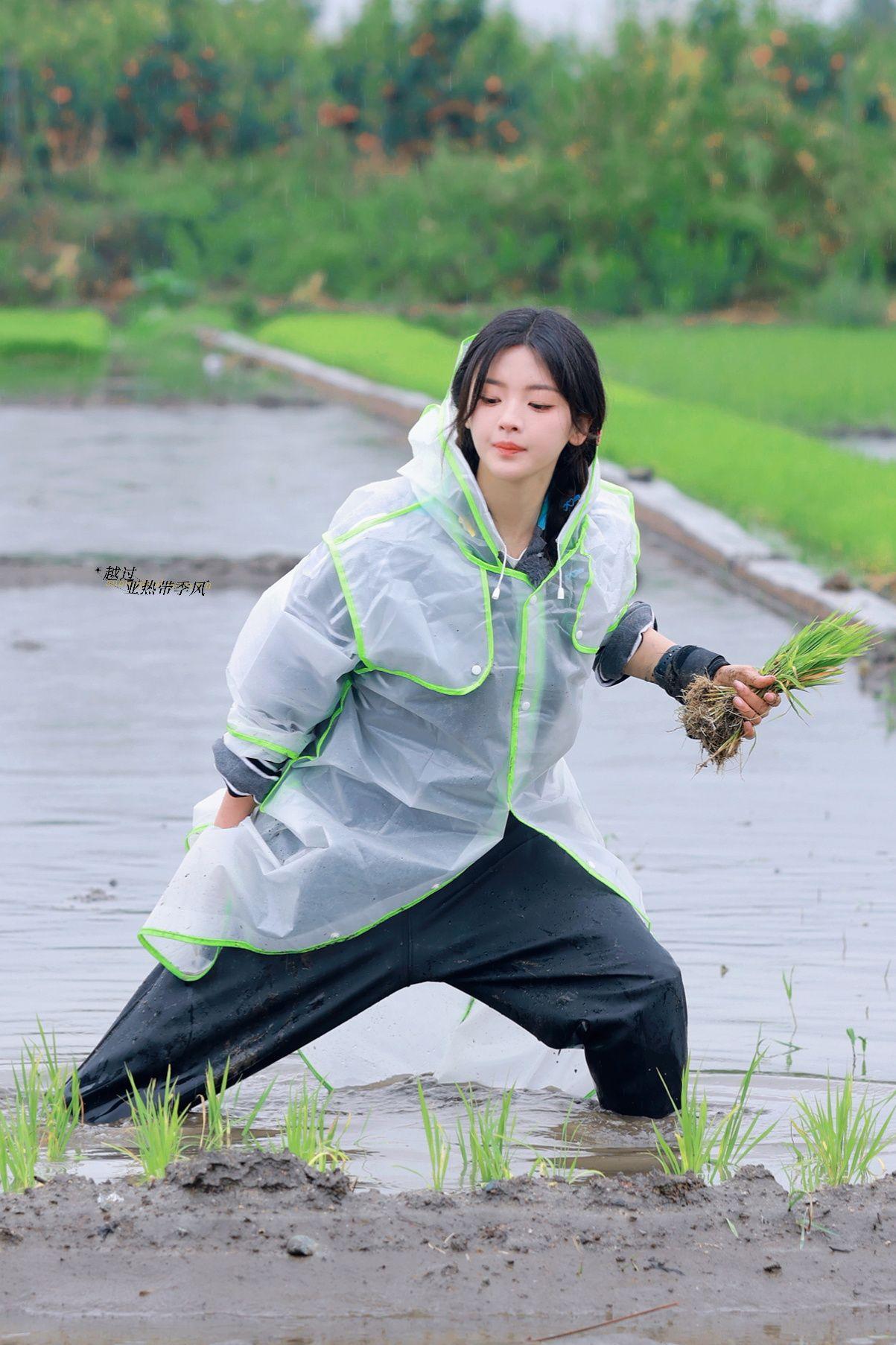 如何评价杨超越白族少女民族装扮?