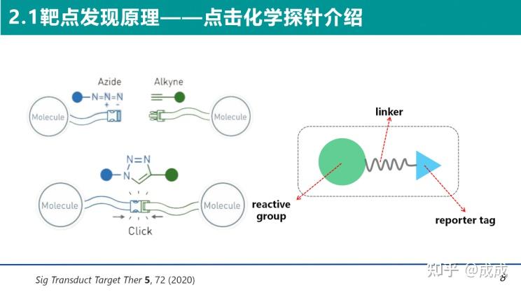 药物靶点专题|从药物靶点发现到药物研发中的经典靶点 - 知乎