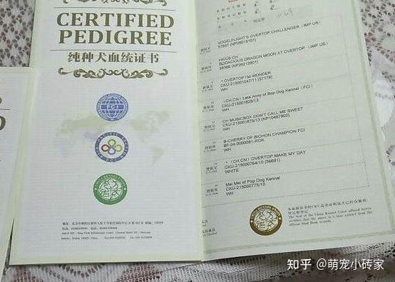 你们觉得双血统拉布拉多什么价格合适