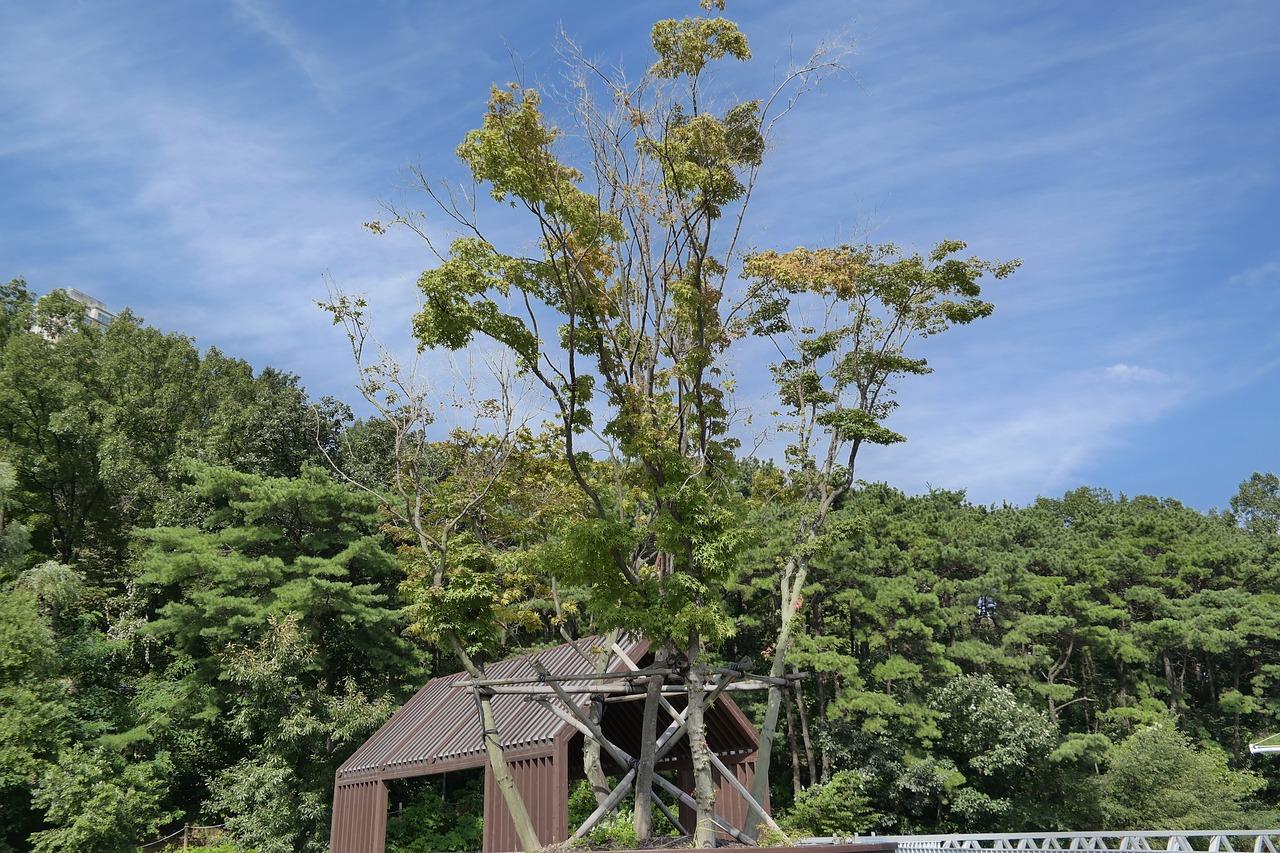 4. 交通出行便利