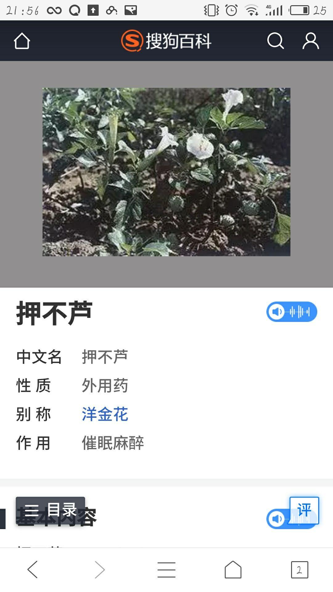 真的有押不芦这种植物么