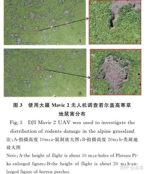 无人机遥感技术在草地动植物调查监测中的应用与评价 知乎 