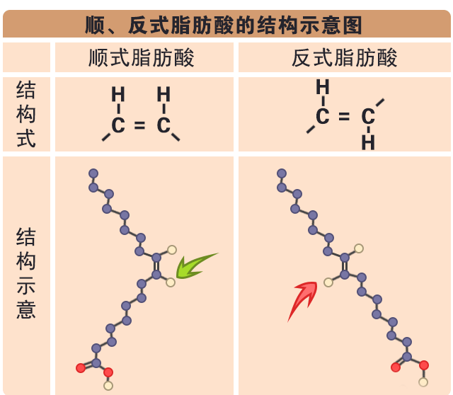 反式脂肪又稱為反式脂肪酸,逆態脂肪酸,是一種不飽和脂肪酸(單元不