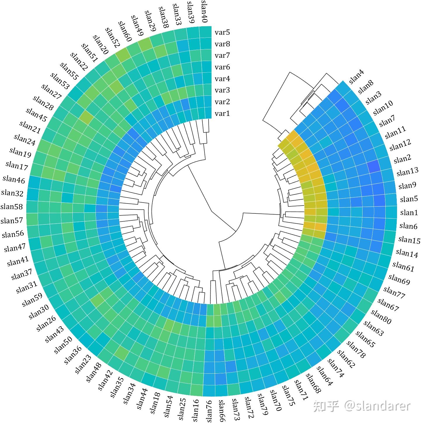 MATLAB | 绘图复刻(五) | 带树状图的环形热图 - 知乎