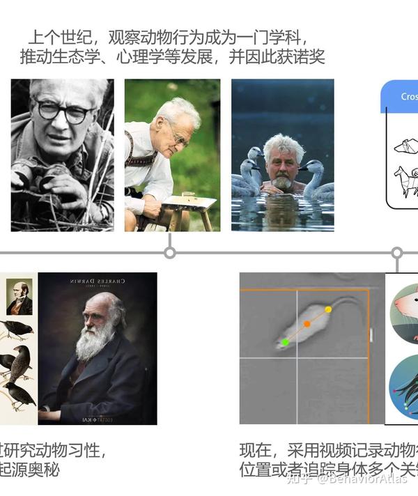 浅谈动物行为学研究方法的过去、现在和未来 - 知乎