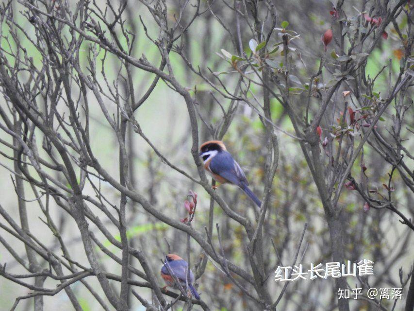 有什么有趣的实验?