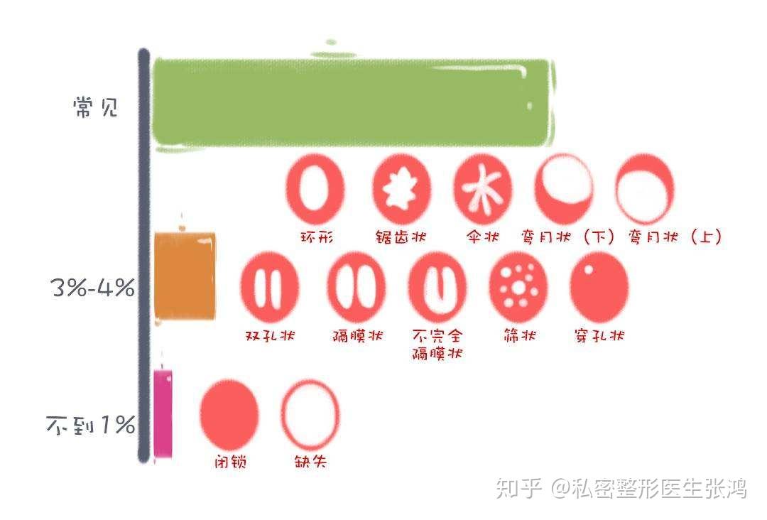 zhuanlan.zhihu.com