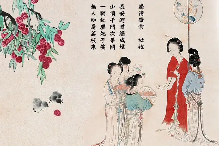 宏大历史叙事中的小人物-读《长安的荔枝》有感 - 知乎