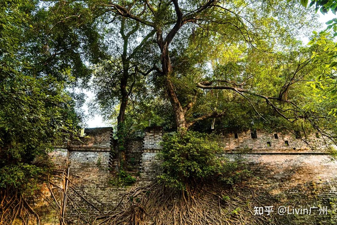 广州什么地方适合散步?