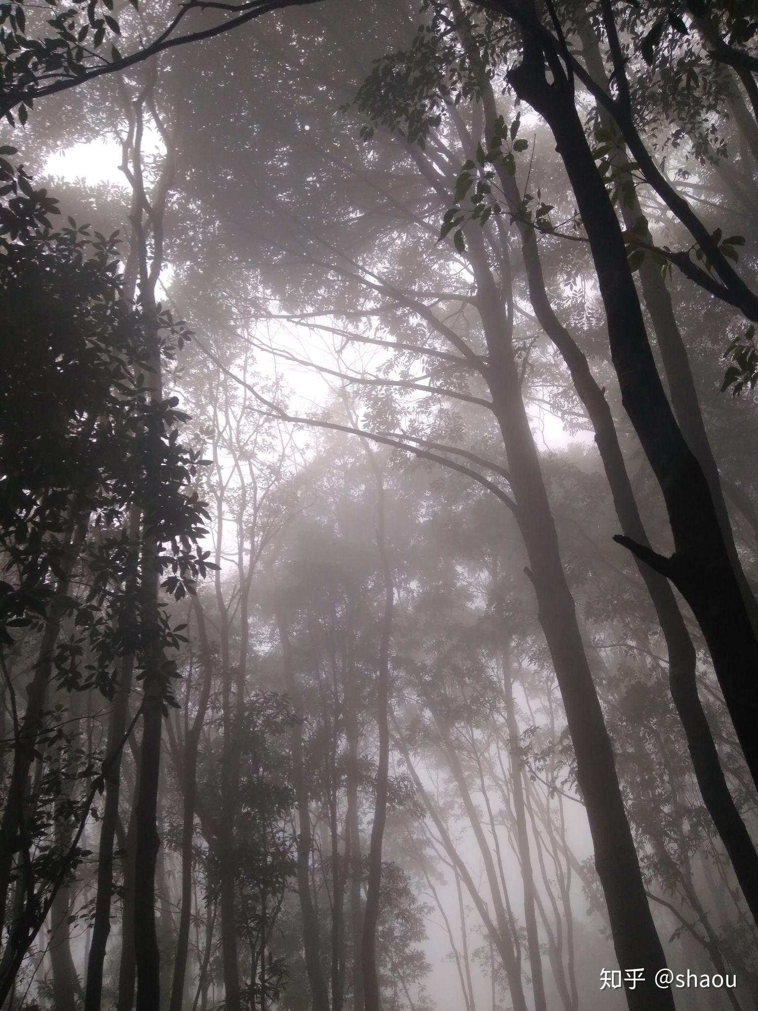 大家看过哪些诡异的图片