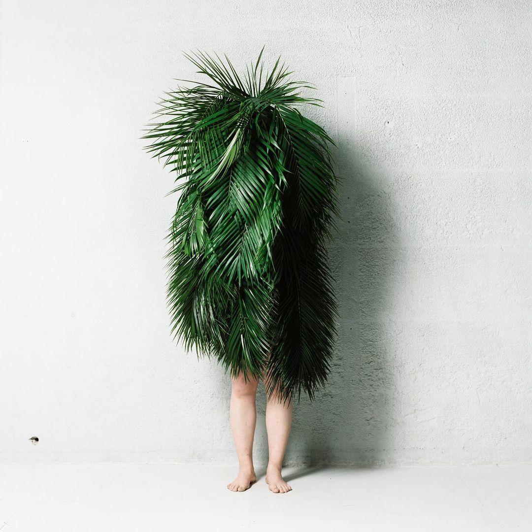 于一个梦境东信的梦中的一片纯白的空间里,人类被植物覆盖变成了叶人