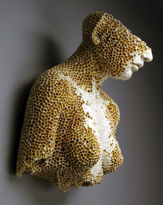 人为什么会有密集物体恐惧症