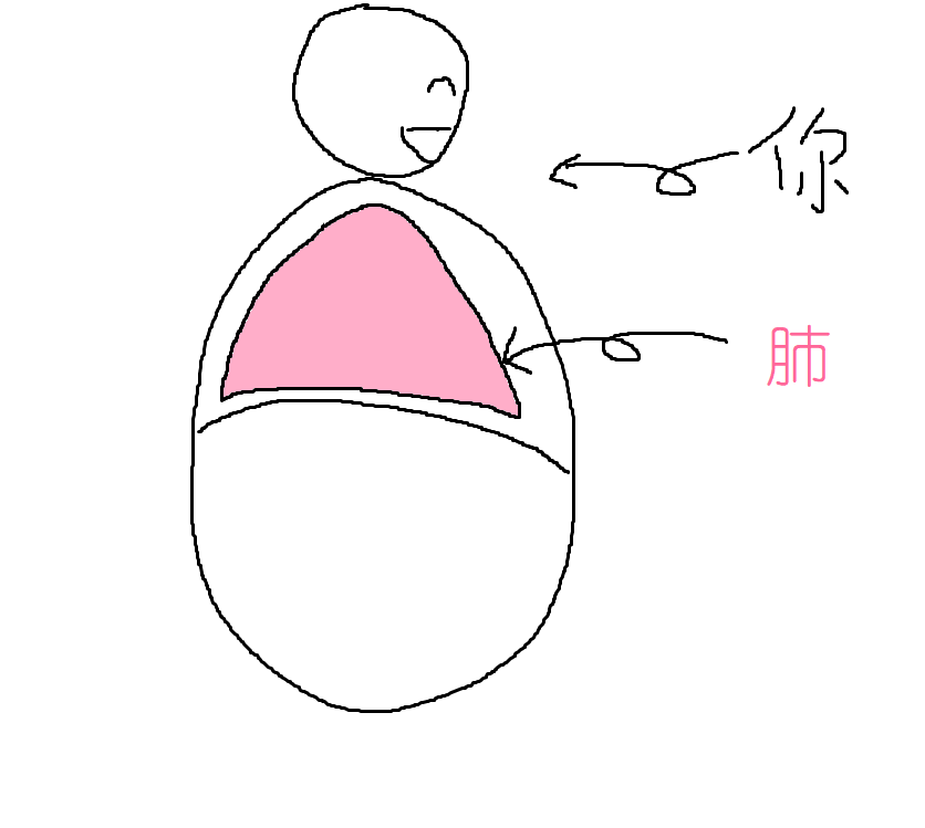 正常呼吸时肚子是膨胀还是收缩呢?