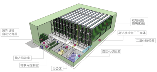 植物工厂适合中国的也许才是最好的