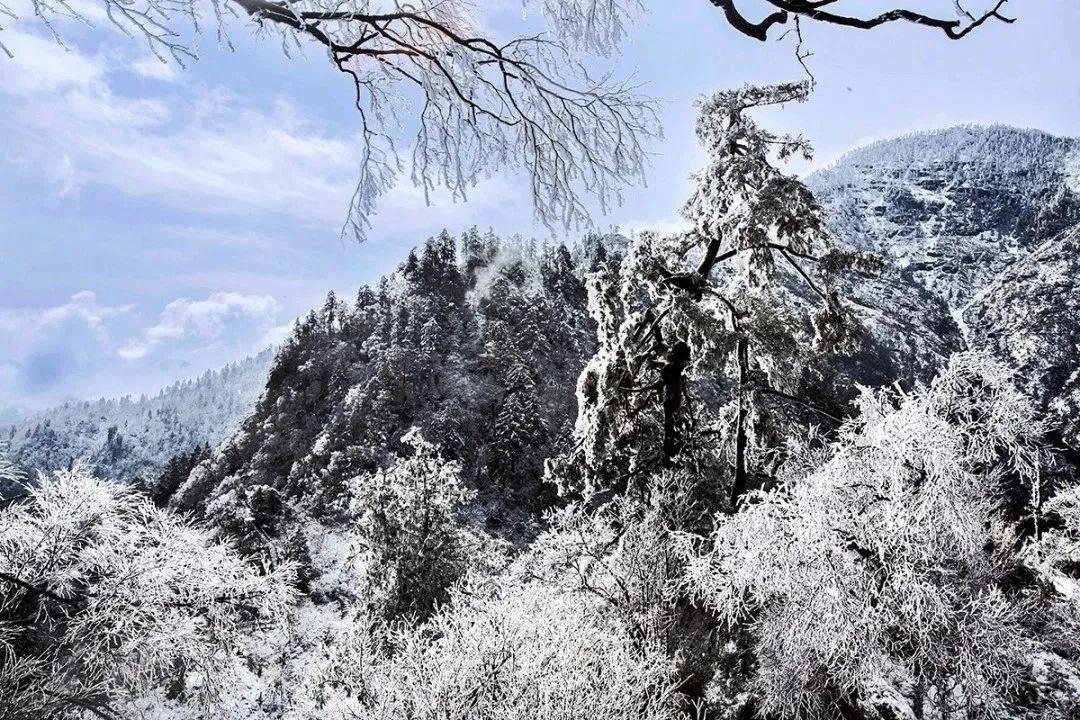 青川县海拔图片