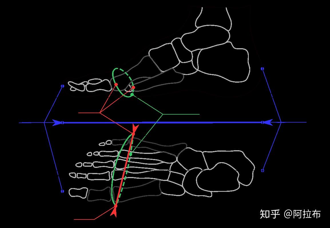 翻譯雙板雪鞋知識大全