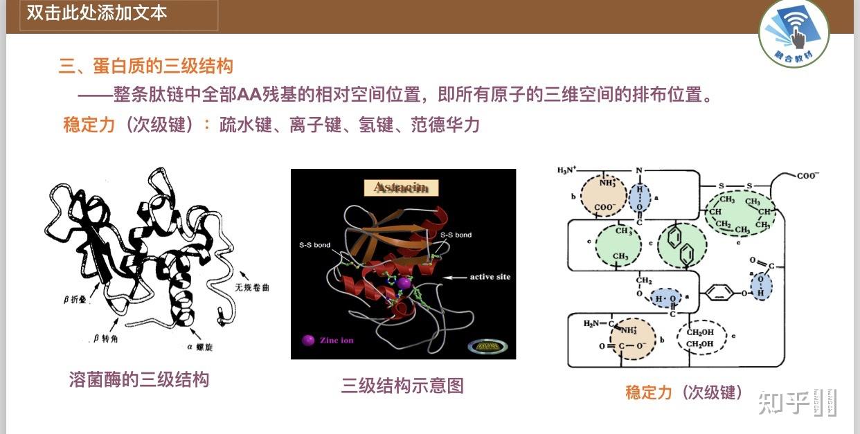 二苄基环辛烯改性的2-氯乙酰胺-fluor 488