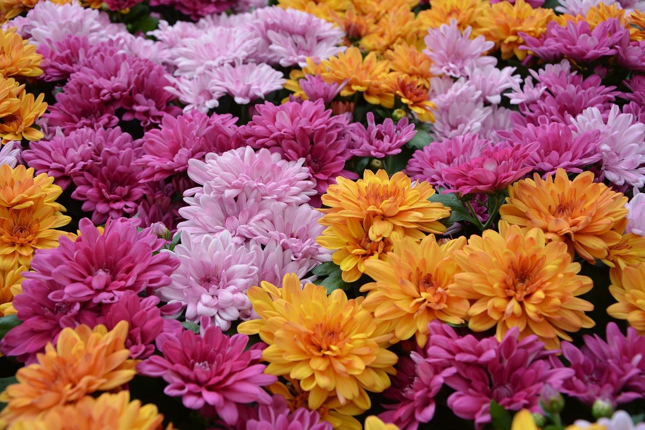 4. 商业配套齐全