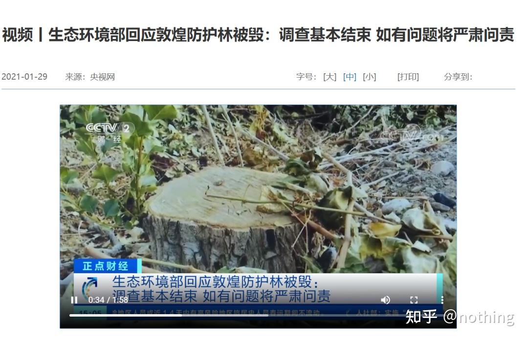 刚刚敦煌阳关防护林被毁调查结果公布存在乱砍乱伐