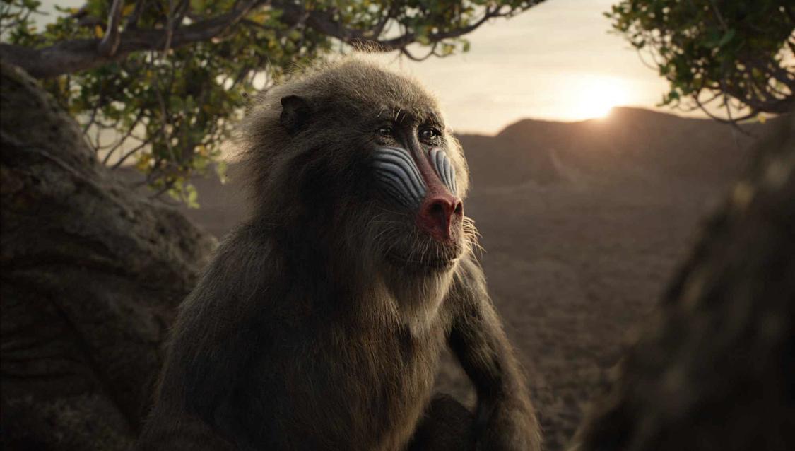 狮子王真兽版在纠结中得到与失去