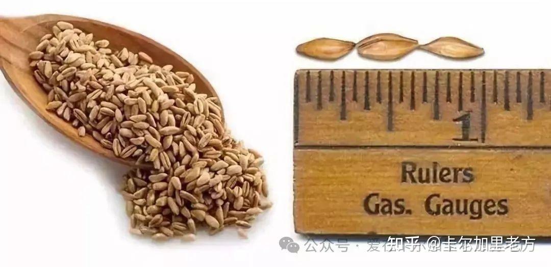【知识点】 加拿大计量单位漫谈暨计量单位换算全攻略 - 知乎