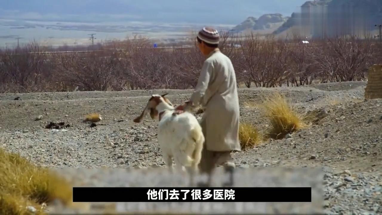 男孩得了怪病白天生龙活虎太阳一落山就完全瘫痪纪录片