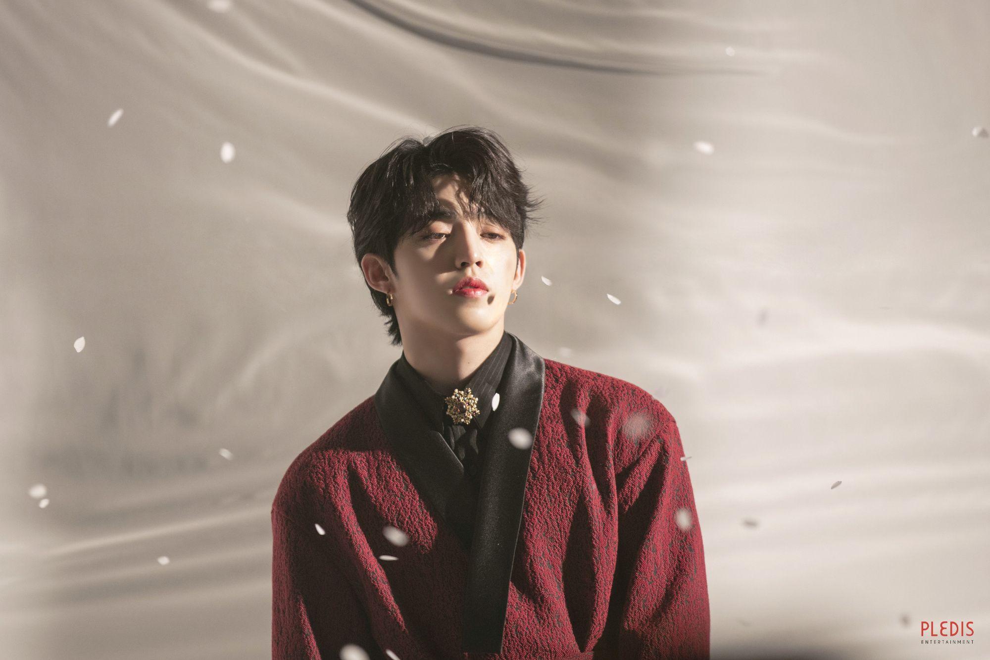 有没有seventeen各个成员的神图