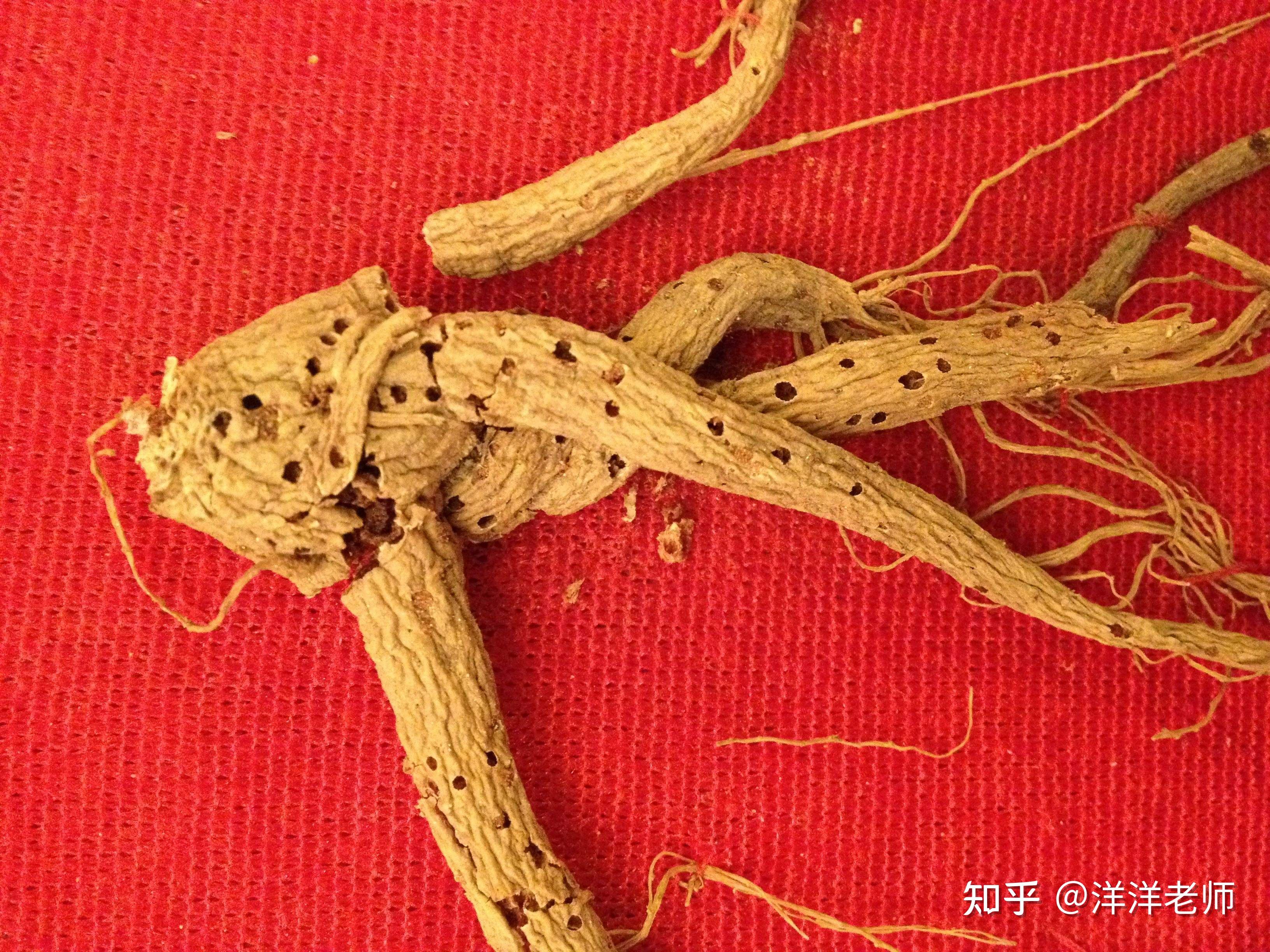 中药----药食同源 - 知乎