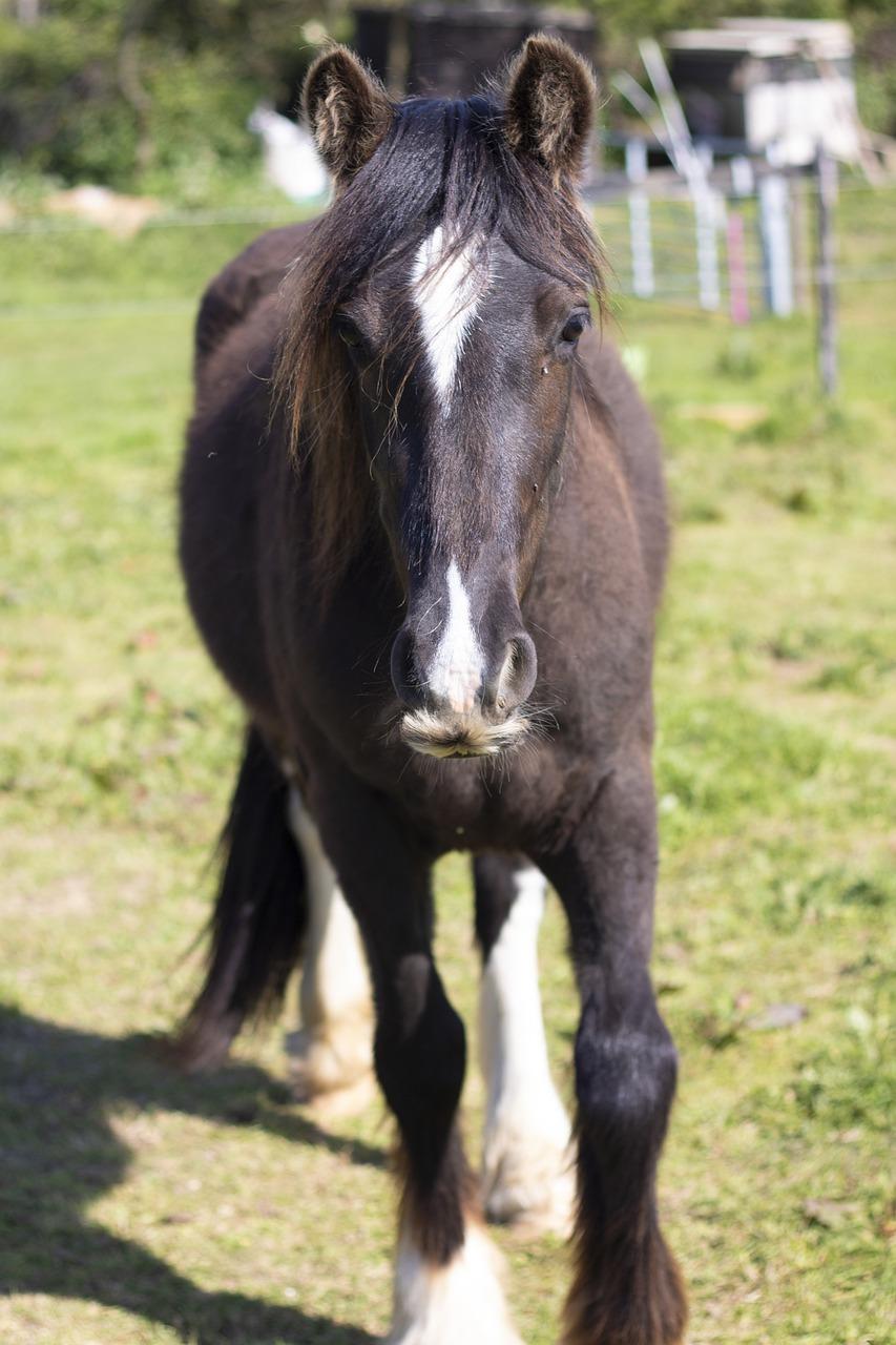 3. 交通枢纽旁盘