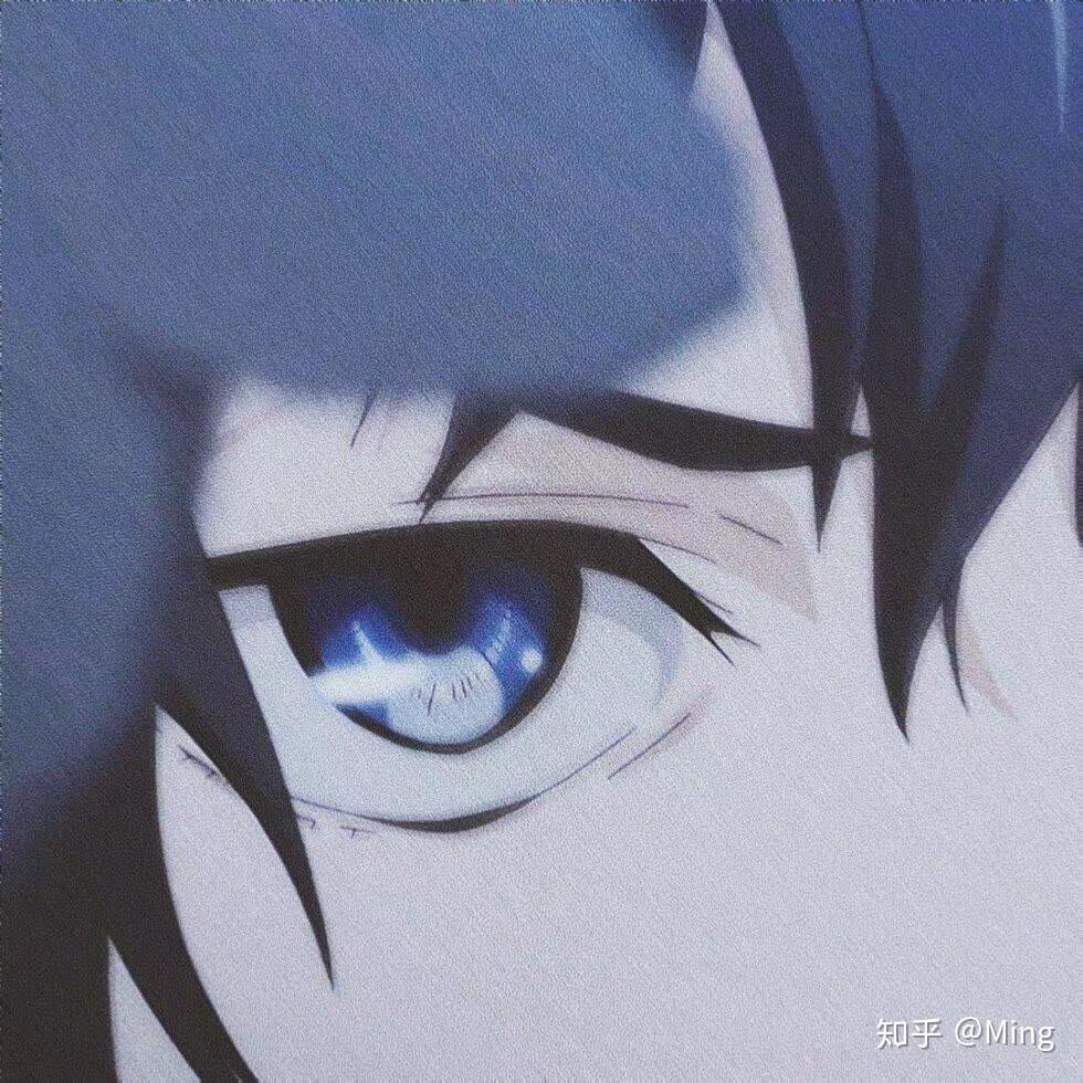 各位有没有眼睛方面的头像或者图片