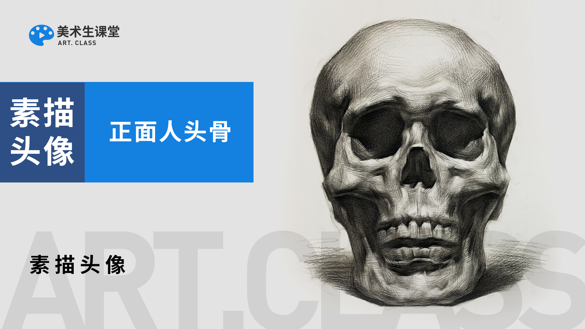 素描头像四分之三侧人头骨示范视频