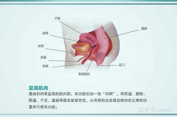 「产后恢复」都包含哪些项目,需要注意什么?