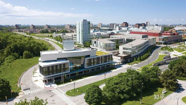 约克大学 york university