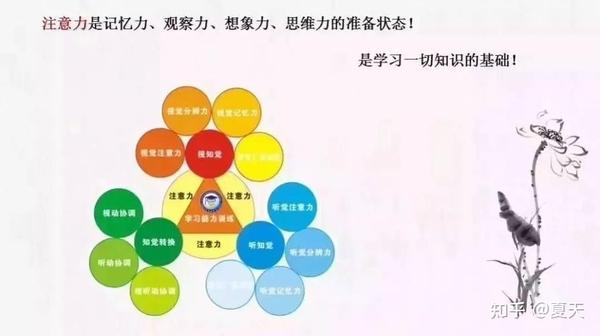 浅谈专注力 - 知乎
