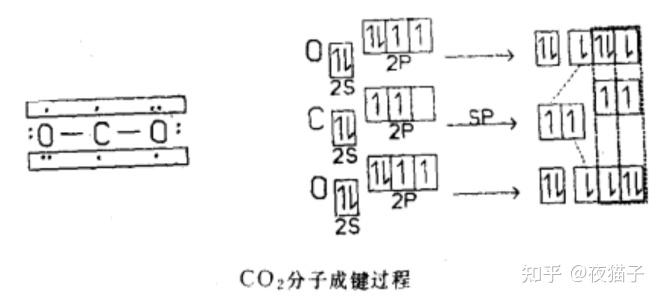 二氧化碳共价键图片