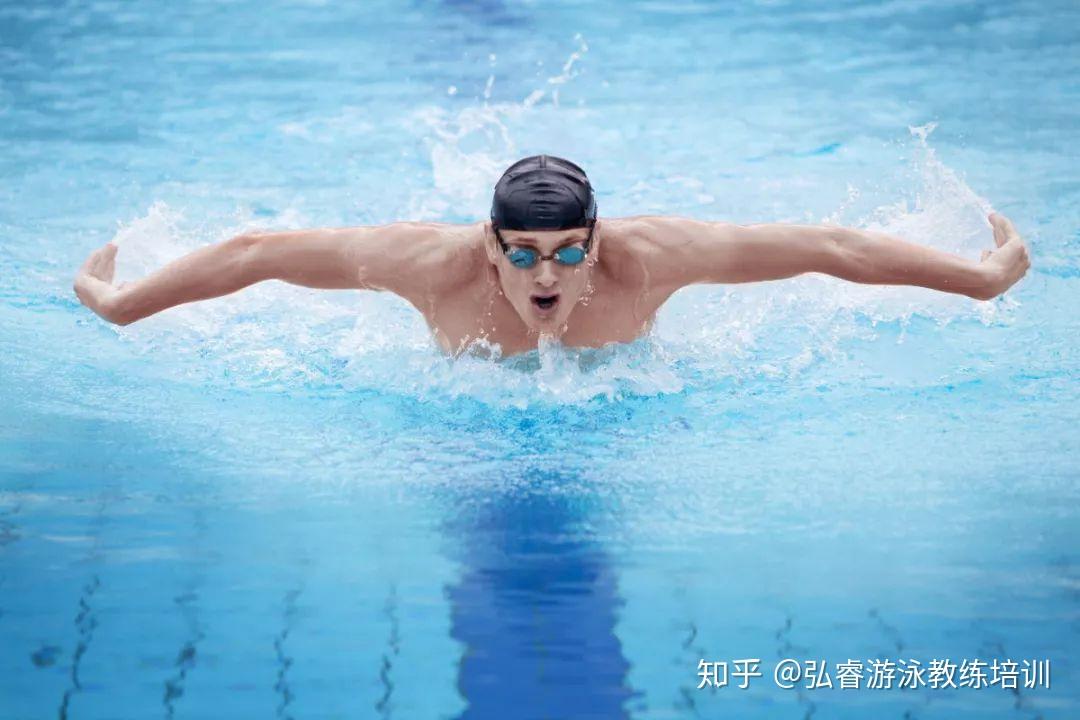 v2-fc0c5346837fdecf1a24b32601beed98_r.jpg
