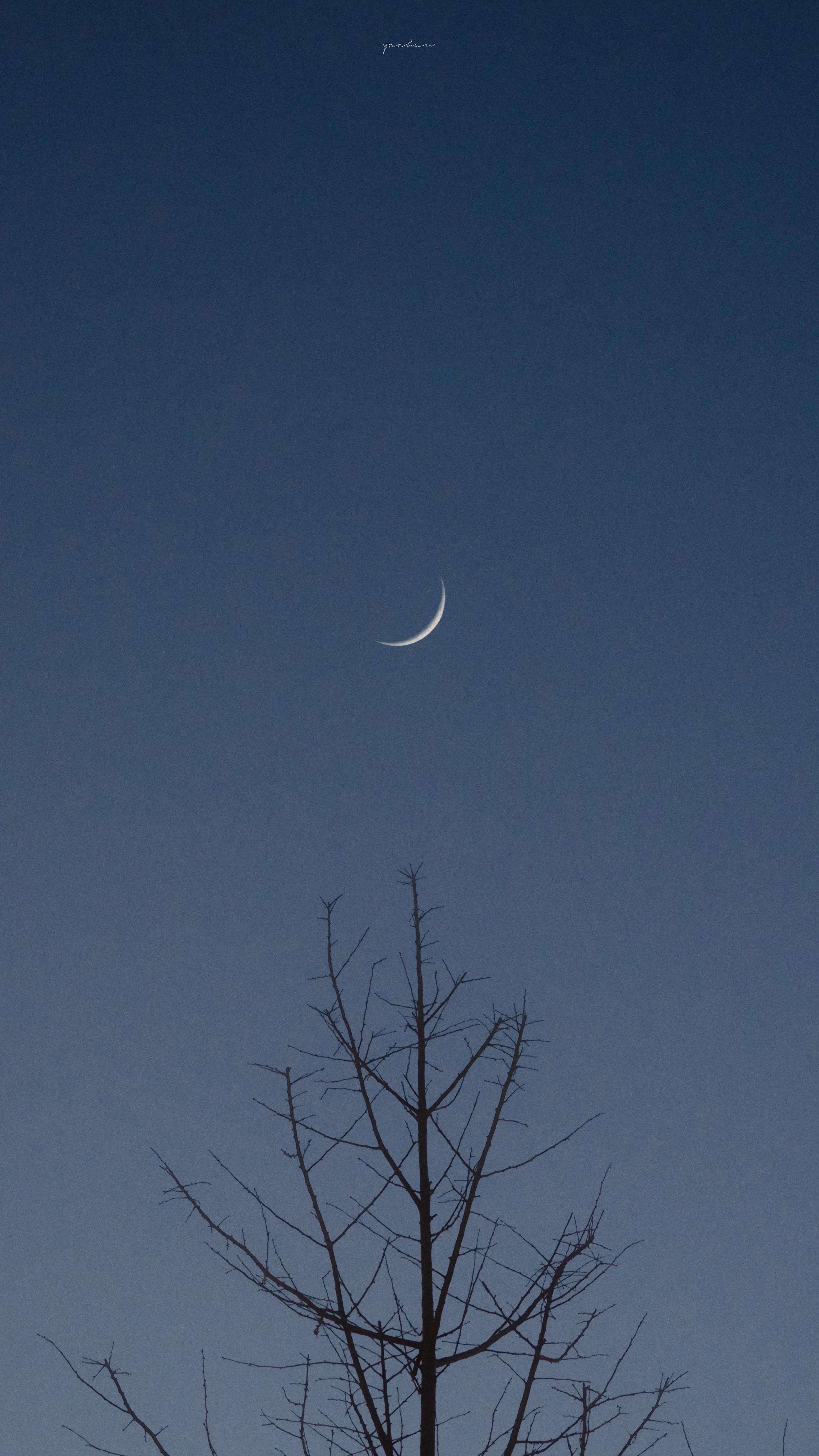 有哪些很好看的月亮的图片啊? - 知乎