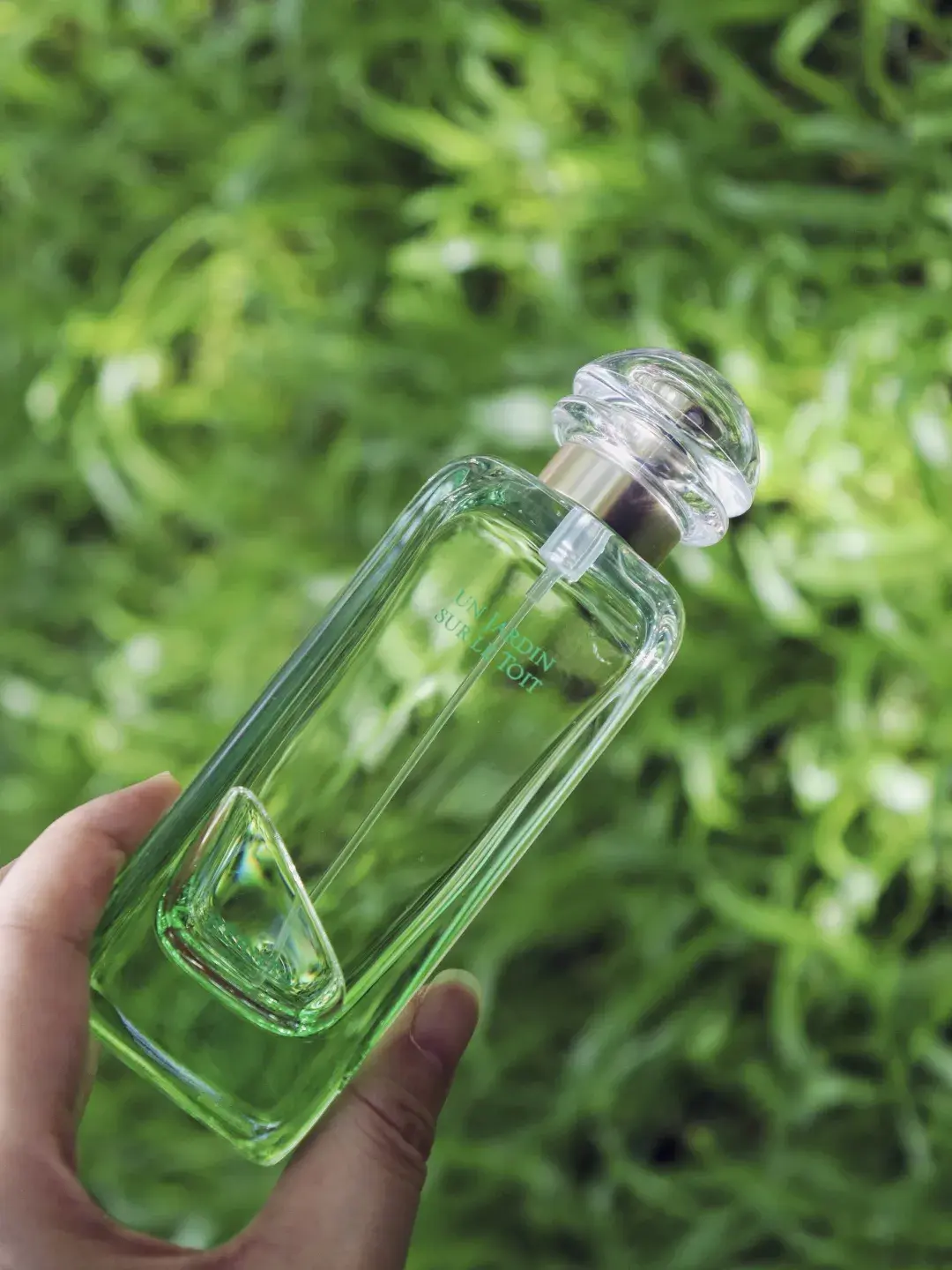 hermes屋顶花园|清新又甜美,拥有少女感的青草香水