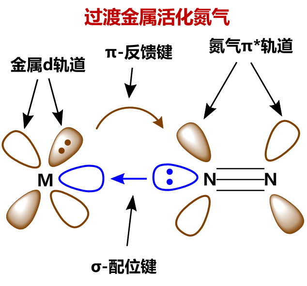 氮气形成过程电子式图片
