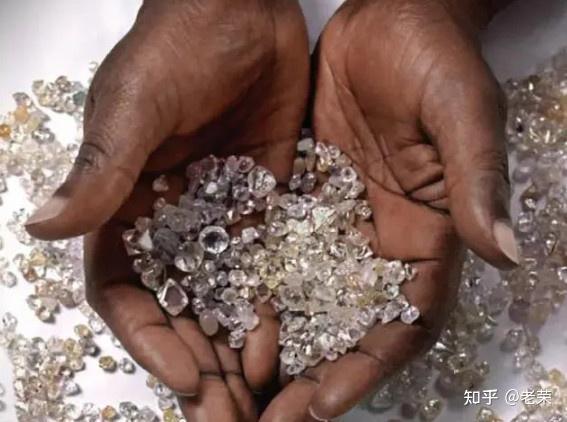 来到南非旅游,如果你只知道路易波士茶,那可就太血亏了!